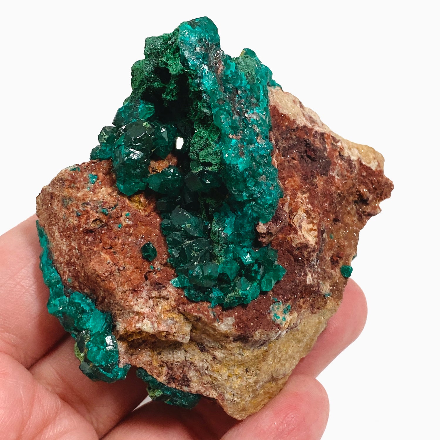 Dioptase with Malachite Crystal Specimen - Congo CR3746
