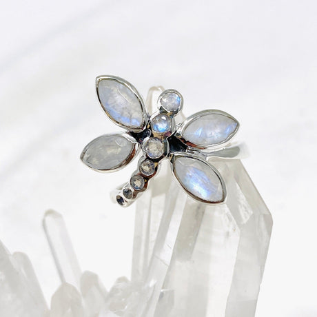 Dragonfly Ring with Faceted Moonstone R3887 - Nature's Magick