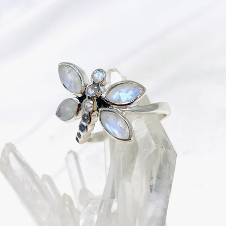 Dragonfly Ring with Faceted Moonstone R3887 - Nature's Magick