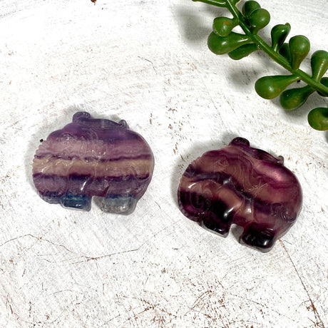 Fluorite Elephant FLE-01 - Nature's Magick