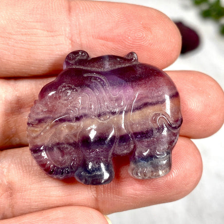Fluorite Elephant FLE-01 - Nature's Magick