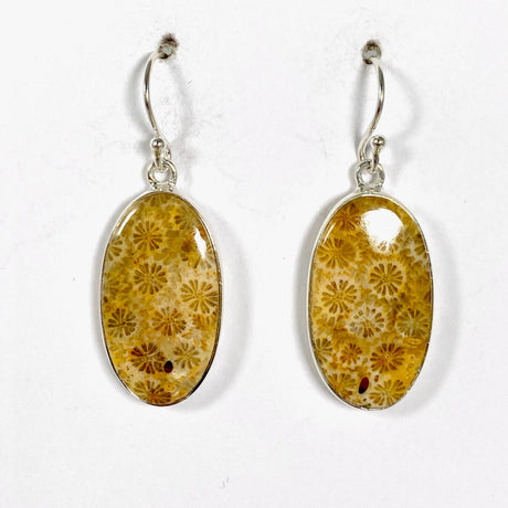 Fossilated Coral Oval Earrings KEGJ1378 - Nature's Magick