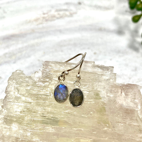 Labradorite petite oval faceted earrings R2363-LBO - Nature's Magick