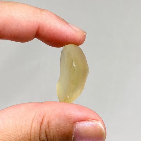 Libyan Desert Glass LDG-11 - Nature's Magick