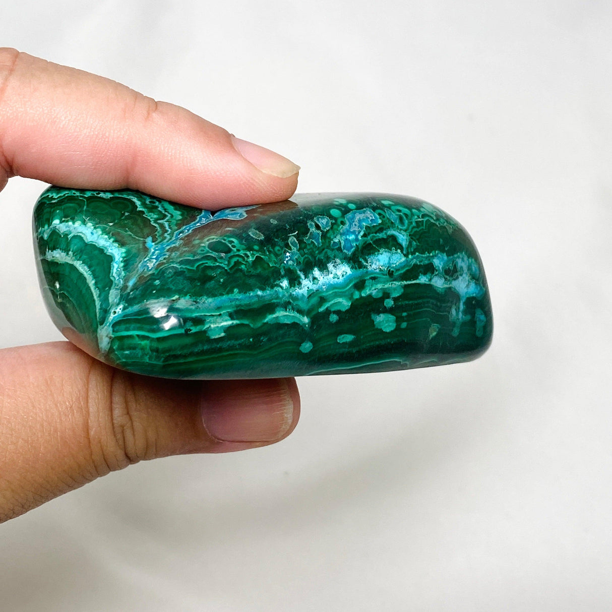 Malacholla (Chrysocolla and Malachite) Freeform MALF-01 - Nature's Magick
