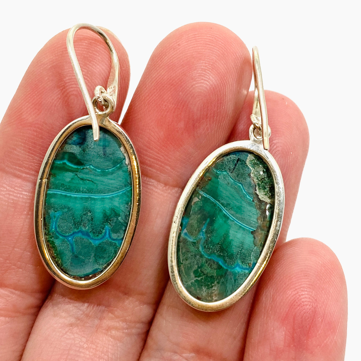 Malacholla (Malachite and Chrysocolla) Oval Cabochon Earrings PEGJ317