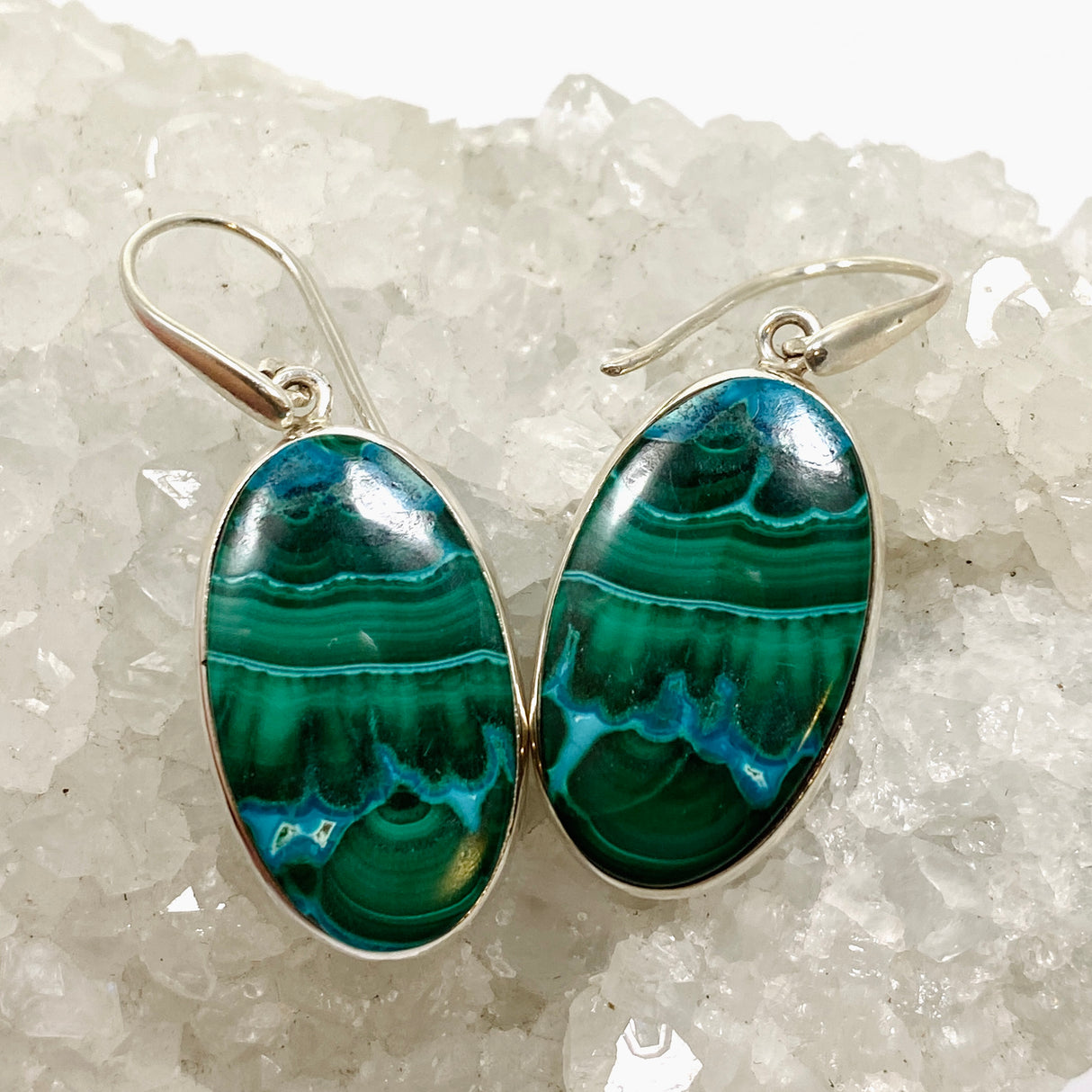 Malacholla (Malachite and Chrysocolla) Oval Cabochon Earrings PEGJ317