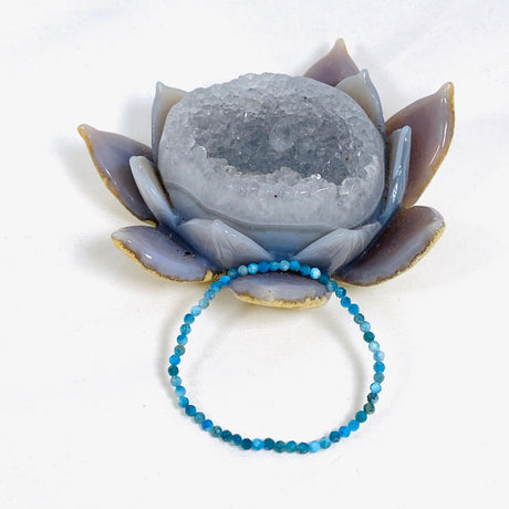 Microbead Gemstone Bracelet - Nature's Magick