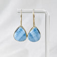 Owyhee 'Blue Opal' fixed hook teardrop earrings KEGJ1028 - Nature's Magick