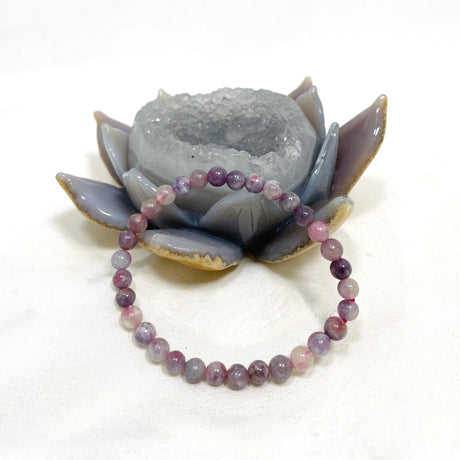 Pegmatite "Unicorn stone" Bracelet - Pink Tourmaline, Lepidolite and Quartz - Nature's Magick