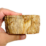 Petrified Wood semi-polished PTW-07 - Nature's Magick