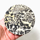 Picture Stone Dish DPS-01 - Nature's Magick