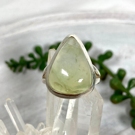 Prehnite teardrop ring s.9 KRGJ2465 - Nature's Magick