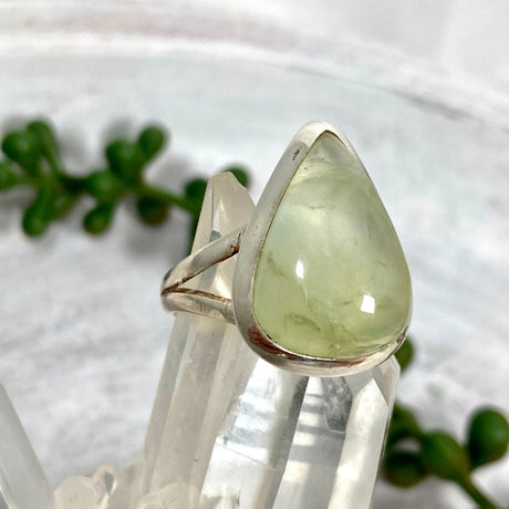 Prehnite teardrop ring s.9 KRGJ2465 - Nature's Magick
