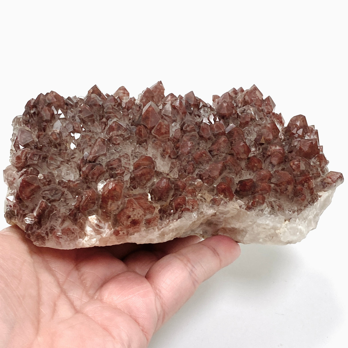 Red Hematite Phantom Quartz Cluster - Zambia CR3721