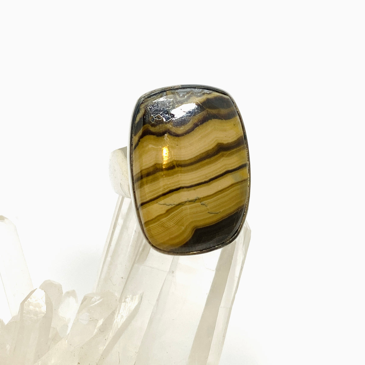 Schalenblende Rectangular Cabochon Ring Size 8 KRGJ3392