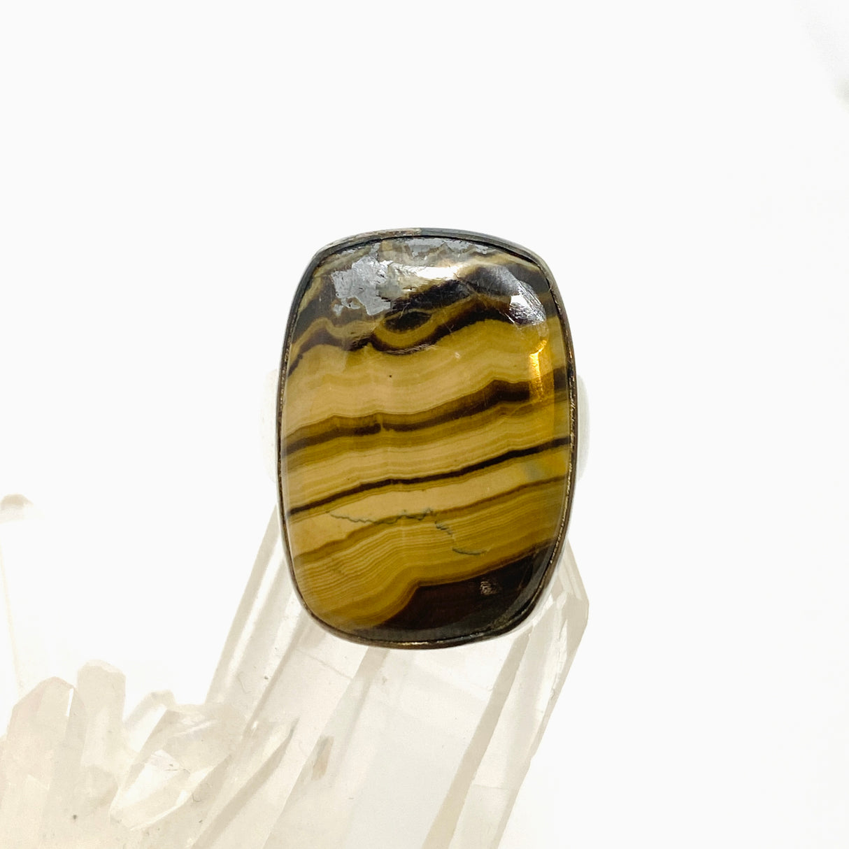 Schalenblende Rectangular Cabochon Ring Size 8 KRGJ3392