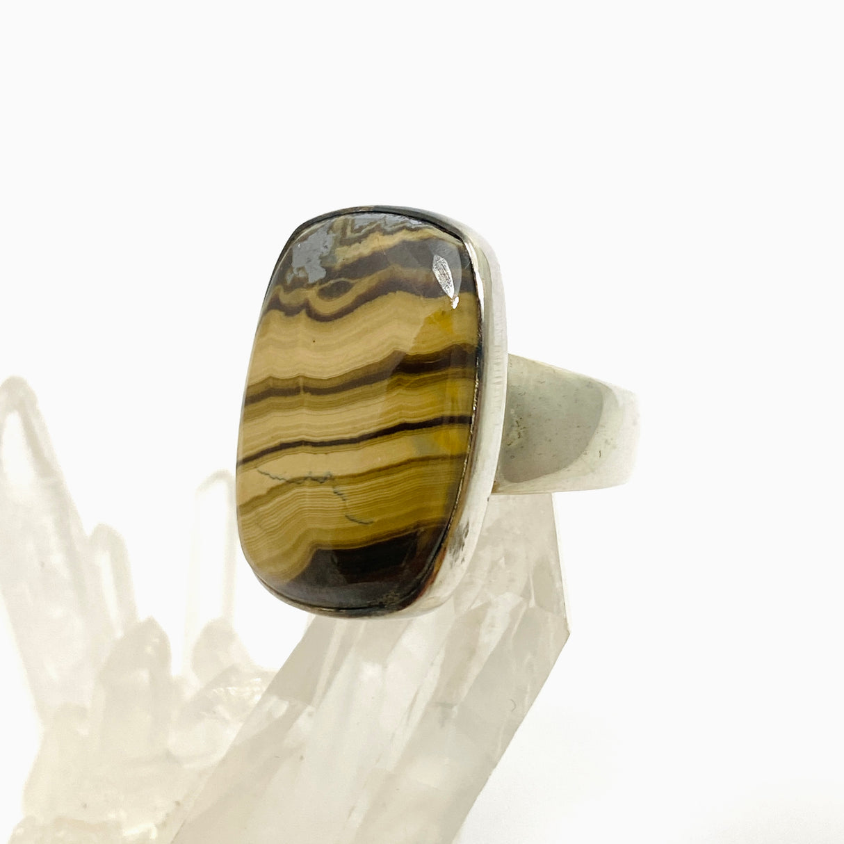 Schalenblende Rectangular Cabochon Ring Size 8 KRGJ3392