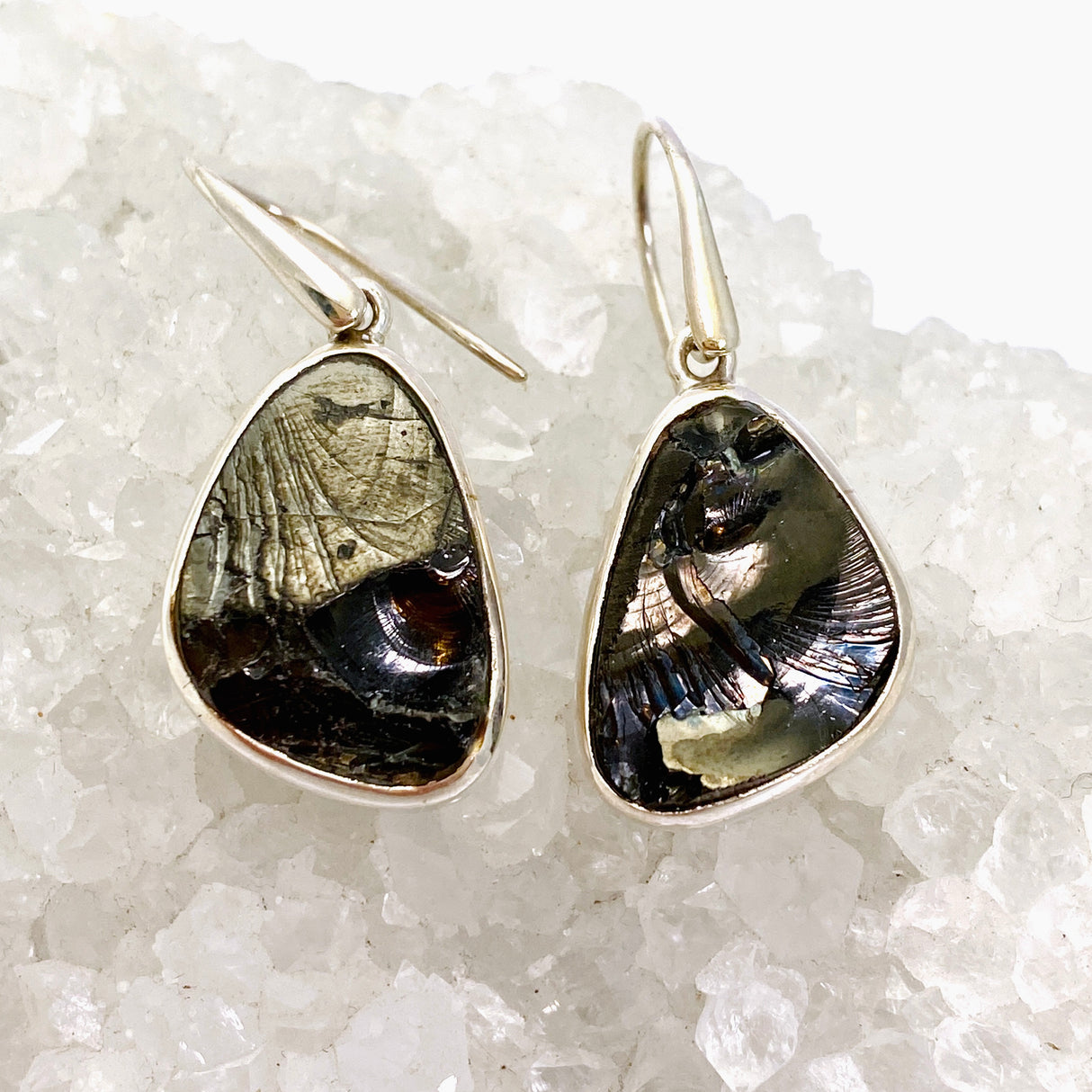 Shungite Freeform Raw Earrings PEGJ264
