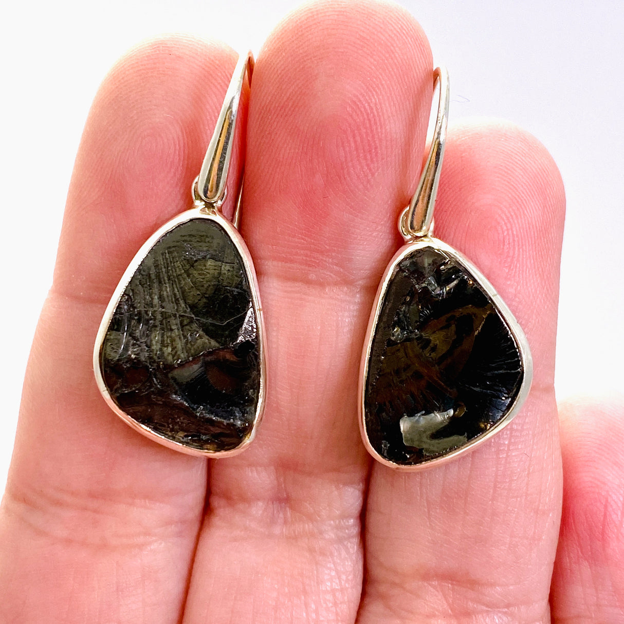Shungite Freeform Raw Earrings PEGJ264
