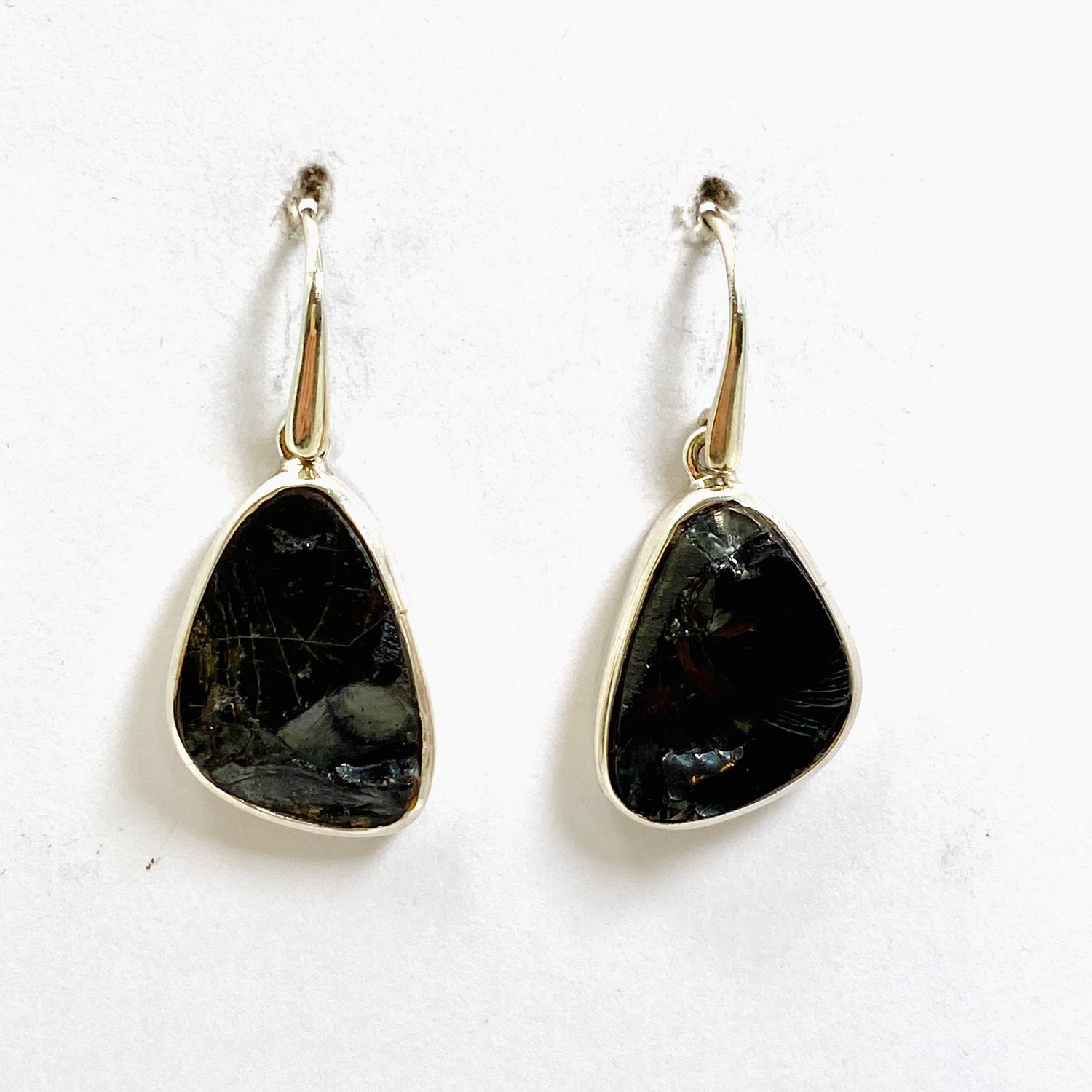 Shungite Freeform Raw Earrings PEGJ264
