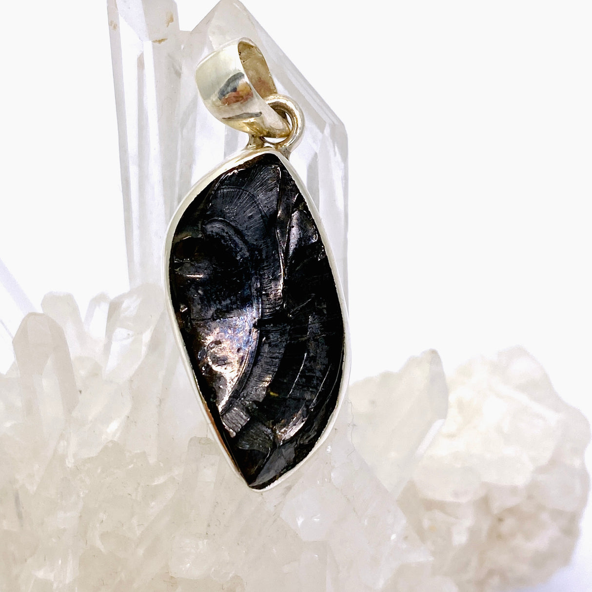 Shungite Freeform Raw Pendant PPGJ962