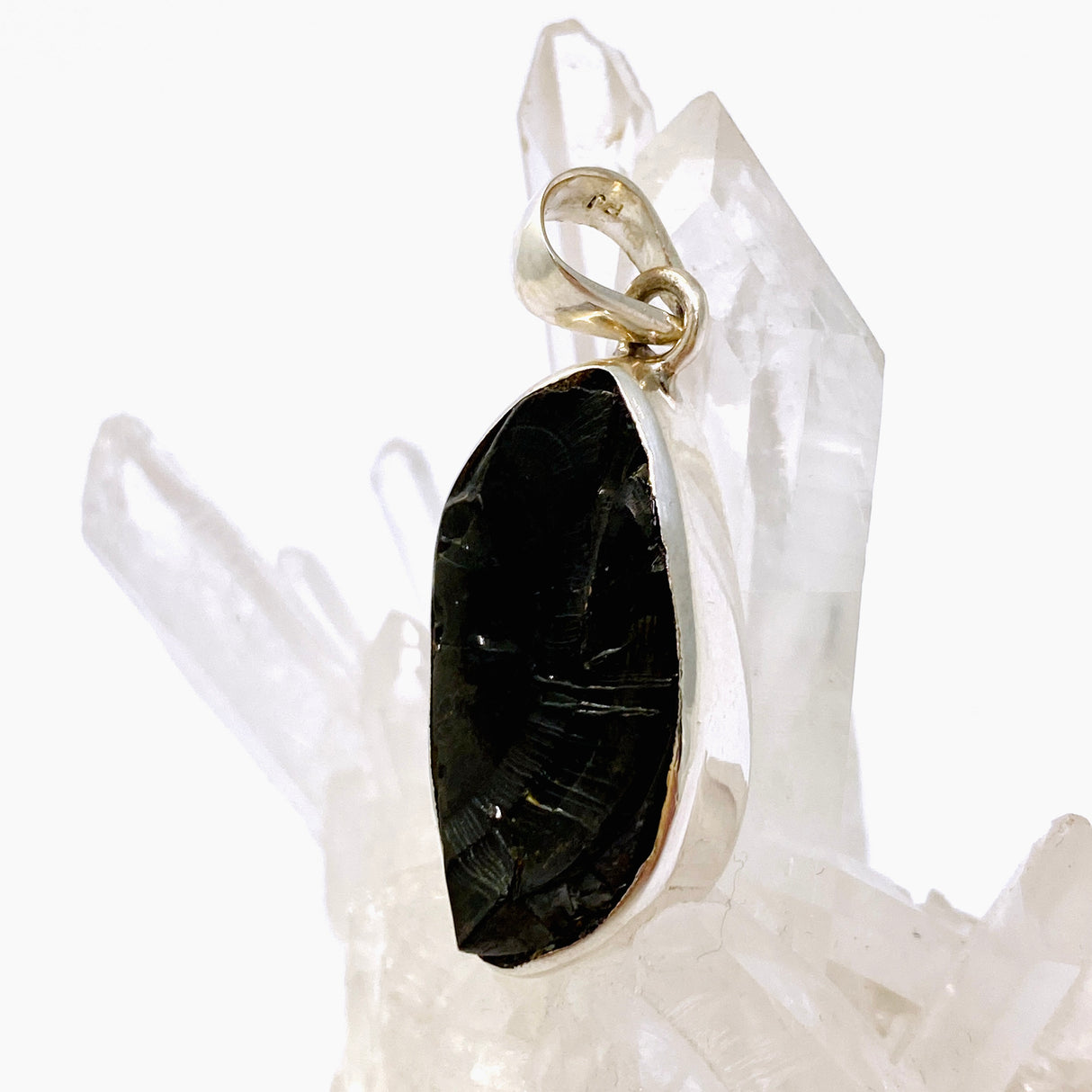 Shungite Freeform Raw Pendant PPGJ962