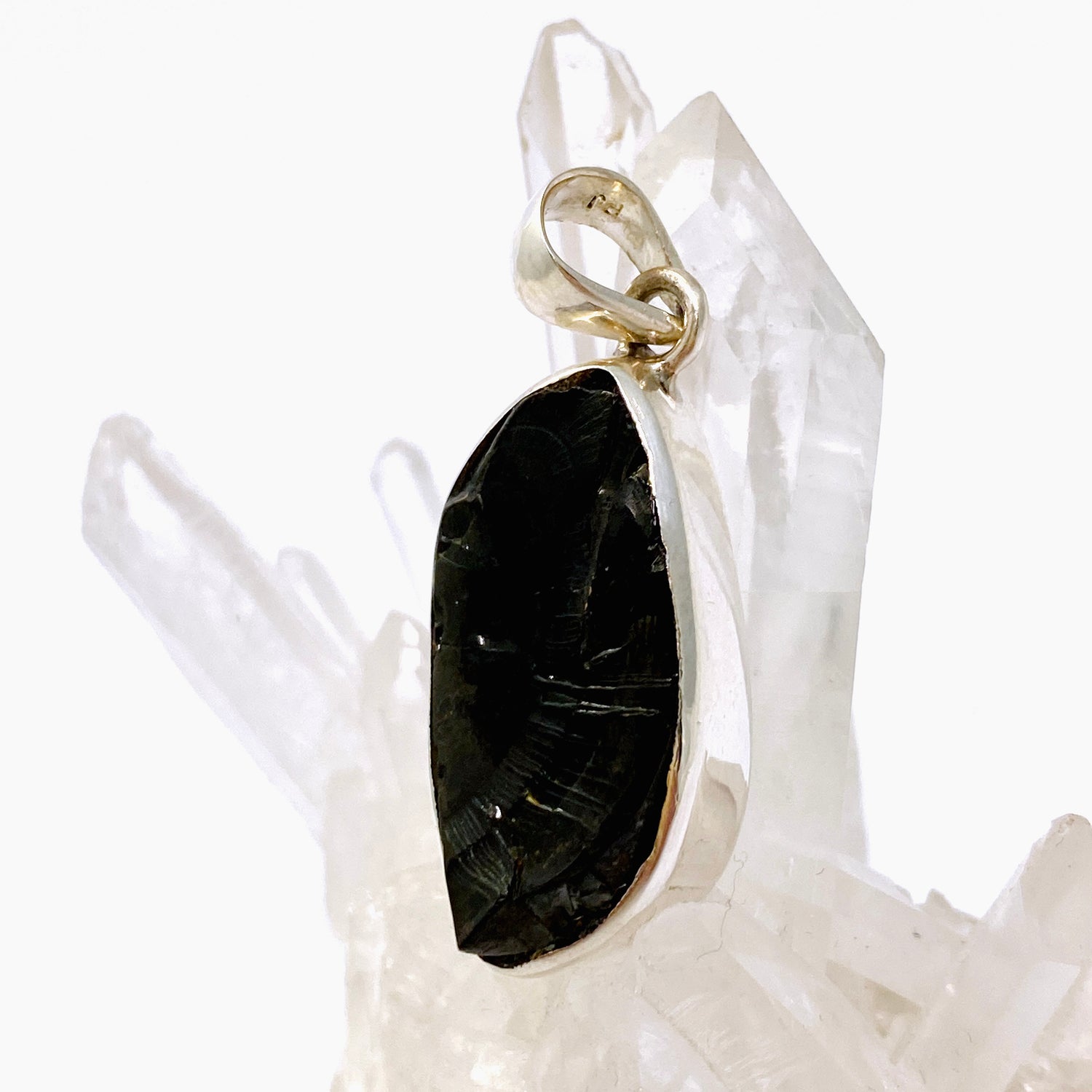 Shungite Freeform Raw Pendant PPGJ962