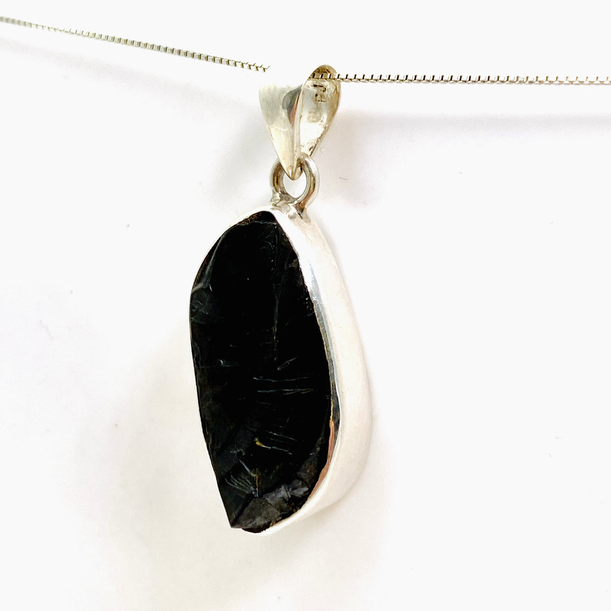 Shungite Freeform Raw Pendant PPGJ962