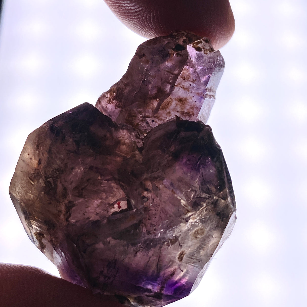 Smokey Amethyst with Inclusions Sceptre Crystal (like Super Seven and Brandberg) CR3734