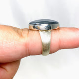 Terahertz (Silica) Oval Ring with a Brushed Band Size 7 KRGJ3260 - Nature's Magick