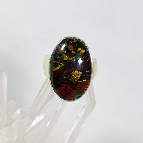 Tiger Iron Oval Ring s.7 KRGJ3056 - Nature's Magick
