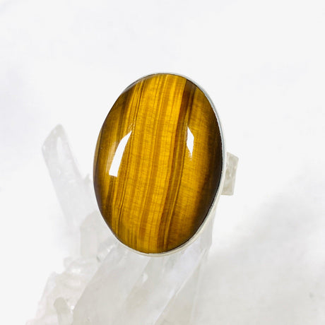 Tigers Eye Oval Hammered Band Ring Size 10 KRGJ3129 - Nature's Magick