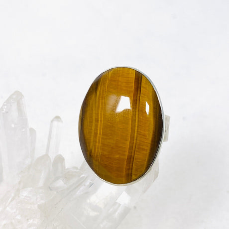 Tigers Eye Oval Hammered Band Ring Size 10 KRGJ3129 - Nature's Magick