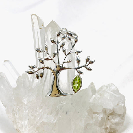 Tree of Life Faceted Marquise Pendant G2179 - Nature's Magick