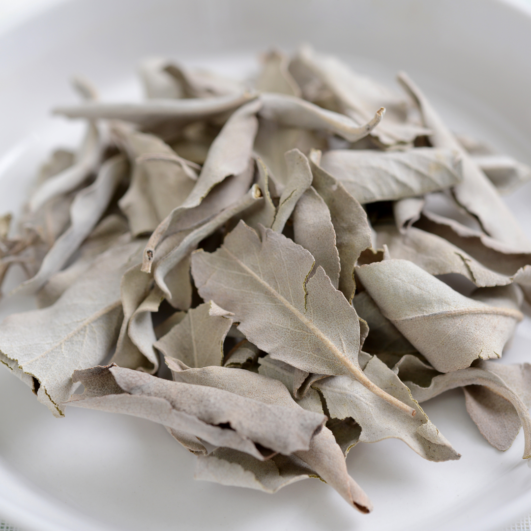 California White Sage Leaves 25g