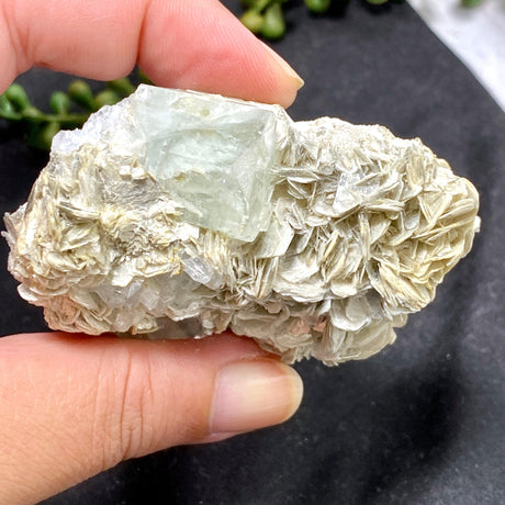 Aquamarine with mica AQS-11 - Nature's Magick