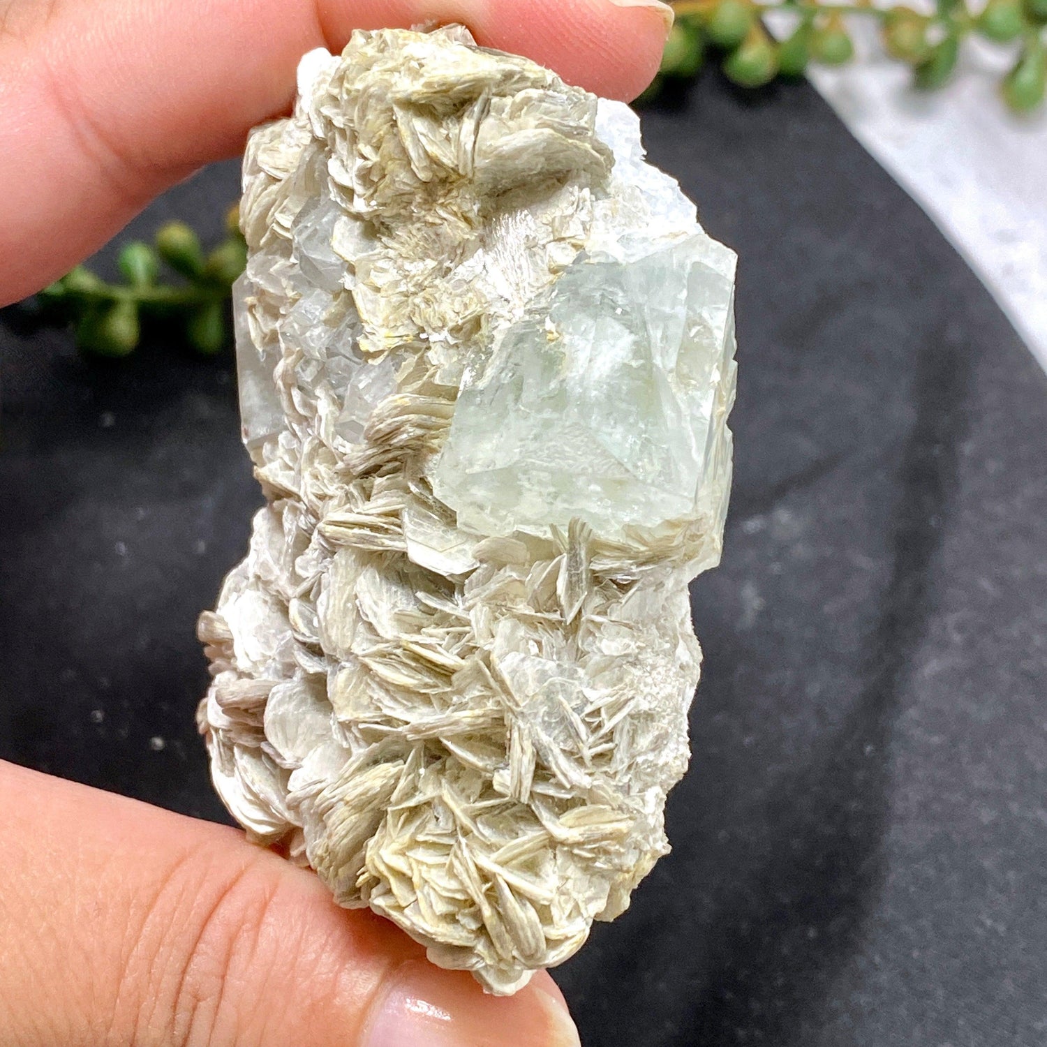 Aquamarine with mica AQS-11 - Nature's Magick