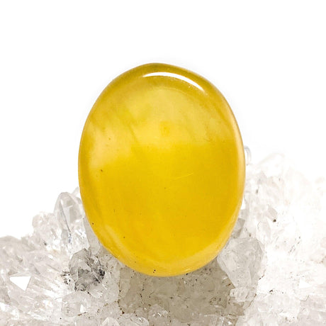 Baltic Amber - Butter Amber oval ring s.6 adjustable AMB94 - Nature's Magick