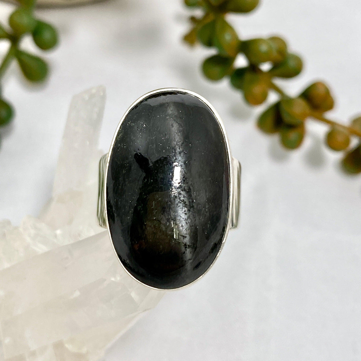 Black Star Diopside Oval Ring Size 11 KRGJ2605 - Nature's Magick