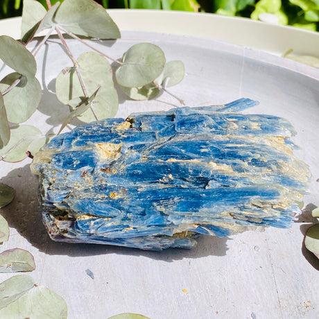 Blue Kyanite crystal BKY-01 - Nature's Magick