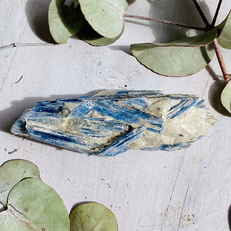 Blue Kyanite Raw BKR01 - Nature's Magick