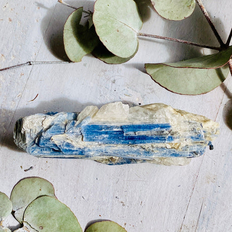 Blue Kyanite Raw BKR01 - Nature's Magick