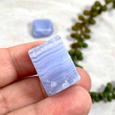 Blue Lace Agate Mini Freeforms BLAF - Nature's Magick