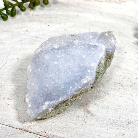 Blue Lace Agate Raw Crystal CR3520 - Nature's Magick