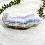 Blue Lace Agate Raw Crystal CR3524 - Nature's Magick