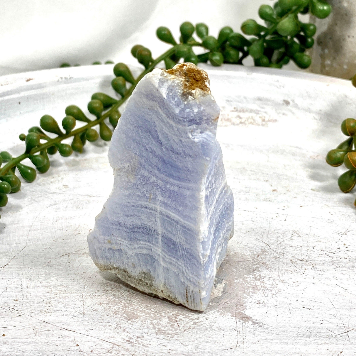 Blue Lace Agate Raw Crystal RB02 - Nature's Magick