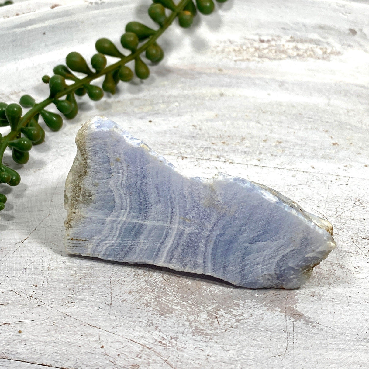 Blue Lace Agate Raw Crystal RB02 - Nature's Magick