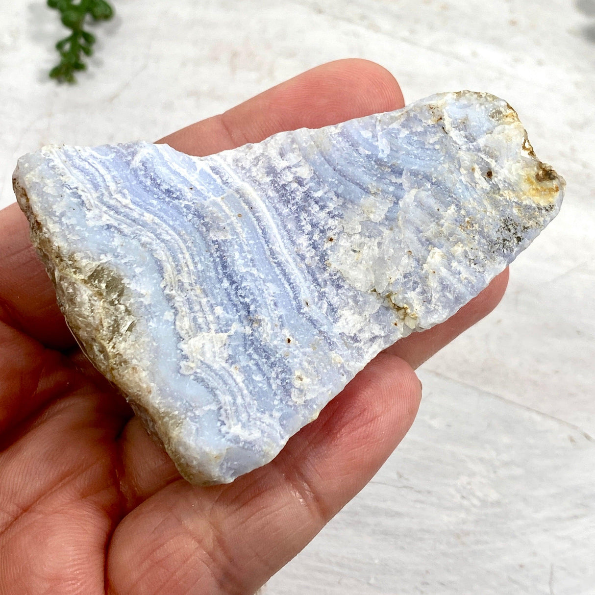 Blue Lace Agate Raw Crystal RB02 - Nature's Magick