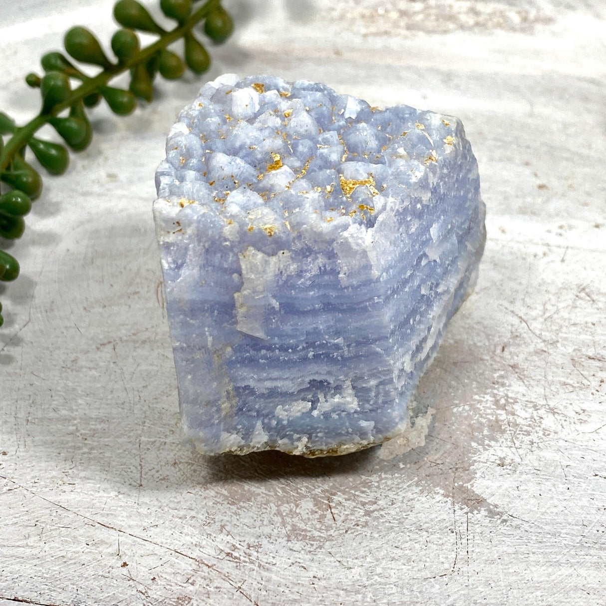 Blue Lace Agate Raw Crystal RB07 - Nature's Magick